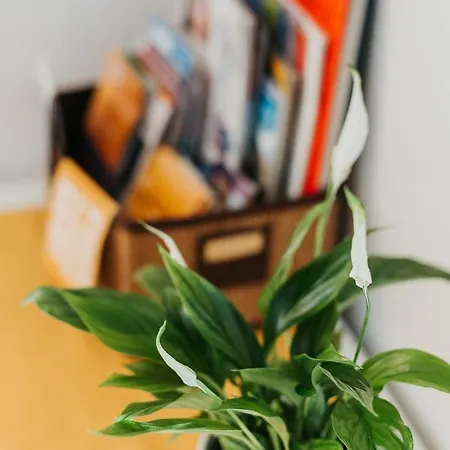 Charming Old Town & Jewish District, Quiet Neighborhood * Kraków