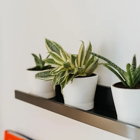 Lägenhet Charming Old Town & Jewish District, Quiet Neighborhood